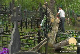 Спил и удаление деревьев на кладбище